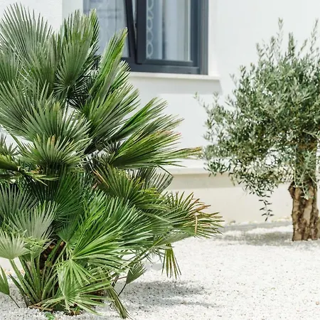Dalmatia * Τρογκίρ